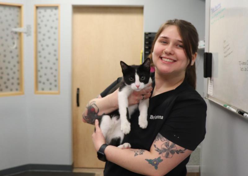 Carousel Slide 4: Cat in the Clinic