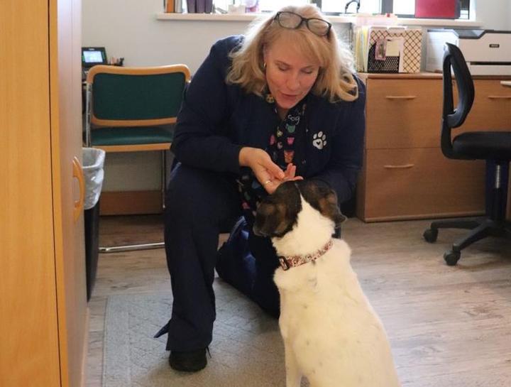 Carousel Slide 8: Veterinary Specialists