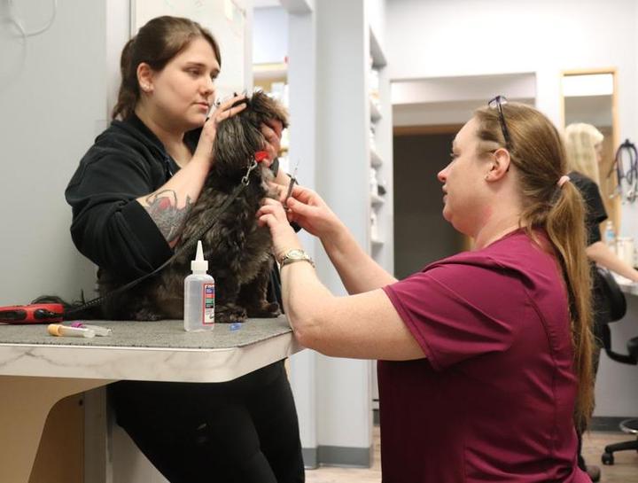 Carousel Slide 9: Blood Draw